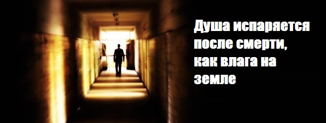 Портал солнечного ветра. Ларионов Андрей
